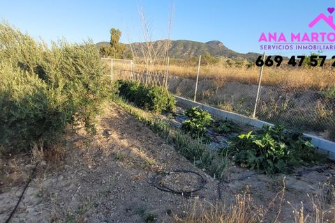 Landejendom i Lorca, Murcia, Lorca - € 600.000 | Ref: MAS0005 - foto 25