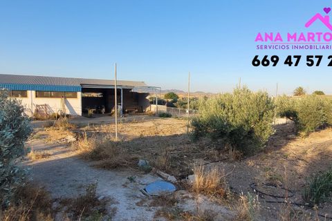 Landejendom i Lorca, Murcia, Lorca - € 600.000 | Ref: MAS0005 - foto 26