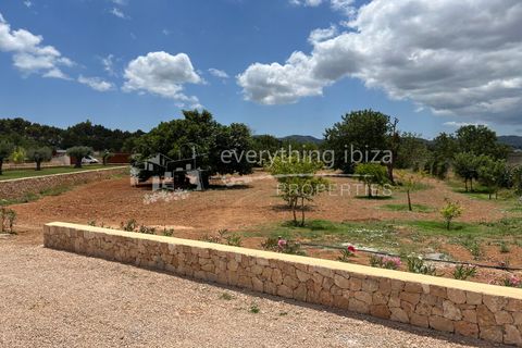 Villa i Can Tomas, Ibiza, Can Tomas - € 4.000.000 | Ref: 1467 - foto 33
