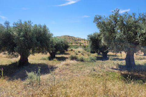 Landejendom i Sorbas, Almeria, Sorbas - € 98.000 | Ref: SOR303 - foto 24