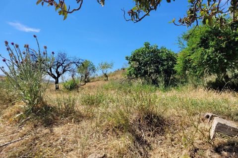 Landejendom i Sorbas, Almeria, Sorbas - € 98.000 | Ref: SOR303 - foto 26