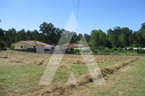 Terra a Oia, Aveiro, Oia - € 80.000 | Ref: 1050926/22 OB - foto 2