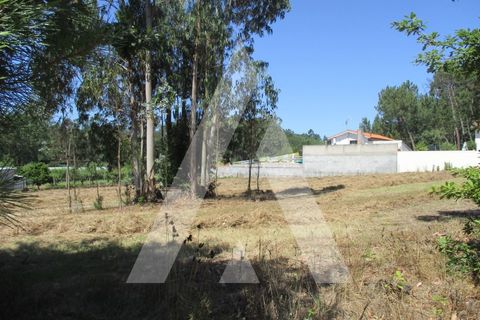 Terra a Oia, Aveiro, Oia - € 80.000 | Ref: 1050926/22 OB - foto 3
