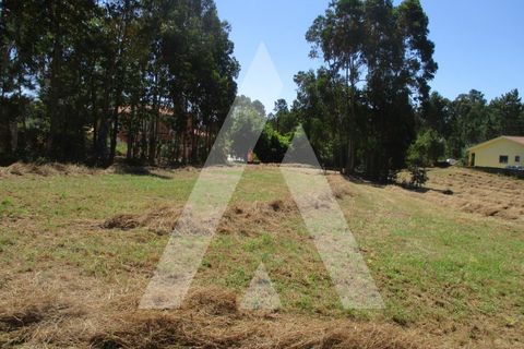 Terra a Oia, Aveiro, Oia - € 80.000 | Ref: 1050926/22 OB - foto 4