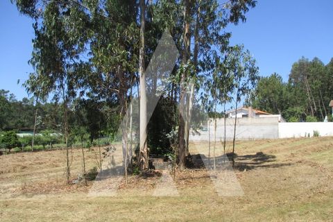 Terra a Oia, Aveiro, Oia - € 80.000 | Ref: 1050926/22 OB - foto 5