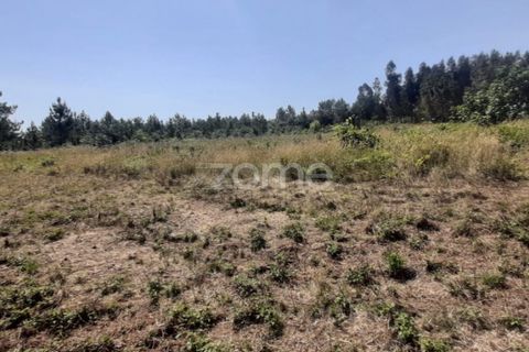 Helårsgrund i Soure, Coimbra, Soure - € 49.900 | Ref: ZMPT551254 - foto 1