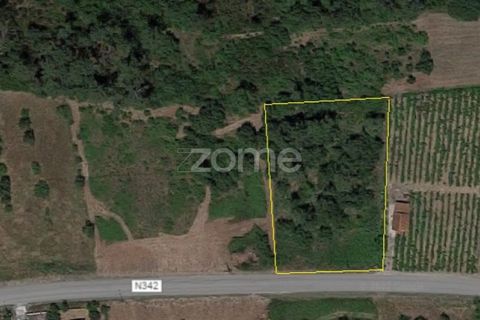 Helårsgrund i Soure, Coimbra, Soure - € 49.900 | Ref: ZMPT551254 - foto 2