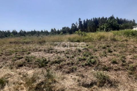 Helårsgrund i Soure, Coimbra, Soure - € 49.900 | Ref: ZMPT551254 - foto 3
