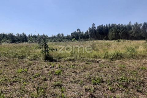 Helårsgrund i Soure, Coimbra, Soure - € 49.900 | Ref: ZMPT551254 - foto 4