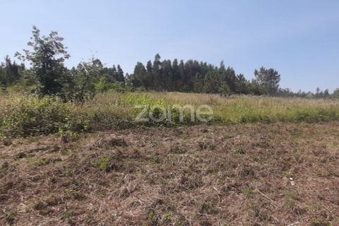 Helårsgrund i Soure, Coimbra, Soure - € 49.900 | Ref: ZMPT551254 - foto 5
