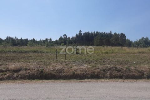 Helårsgrund i Soure, Coimbra, Soure - € 49.900 | Ref: ZMPT551254 - foto 6