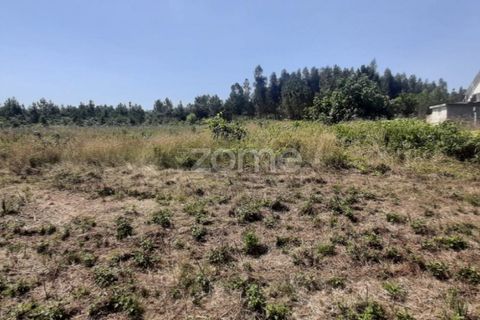 Helårsgrund i Soure, Coimbra, Soure - € 49.900 | Ref: ZMPT551254 - foto 7