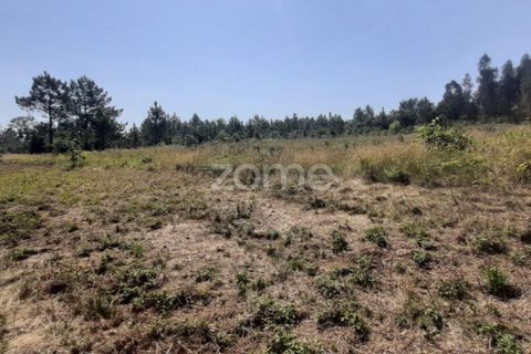 Helårsgrund i Soure, Coimbra, Soure - € 49.900 | Ref: ZMPT551254 - foto 8