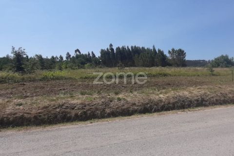 Helårsgrund i Soure, Coimbra, Soure - € 49.900 | Ref: ZMPT551254 - foto 9