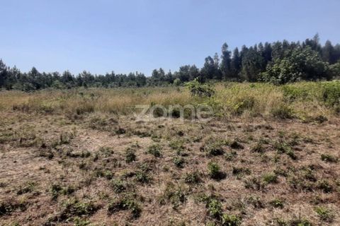 Helårsgrund i Soure, Coimbra, Soure - € 49.900 | Ref: ZMPT551254 - foto 10