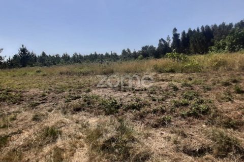 Helårsgrund i Soure, Coimbra, Soure - € 49.900 | Ref: ZMPT551254 - foto 11