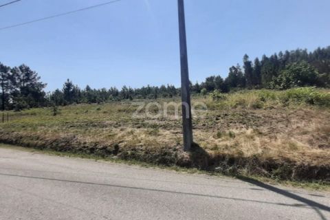 Helårsgrund i Soure, Coimbra, Soure - € 49.900 | Ref: ZMPT551254 - foto 12