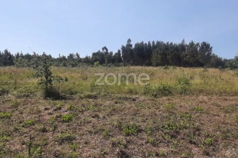 Helårsgrund i Soure, Coimbra, Soure - € 49.900 | Ref: ZMPT551254 - foto 13
