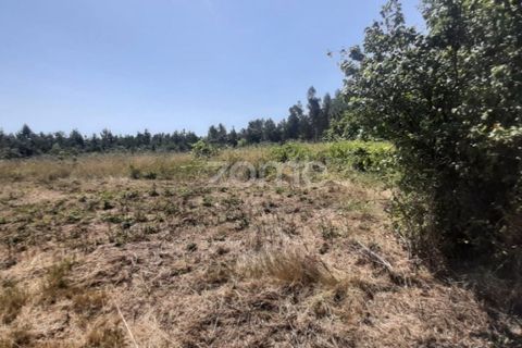 Helårsgrund i Soure, Coimbra, Soure - € 49.900 | Ref: ZMPT551254 - foto 14