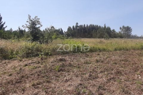 Helårsgrund i Soure, Coimbra, Soure - € 49.900 | Ref: ZMPT551254 - foto 15