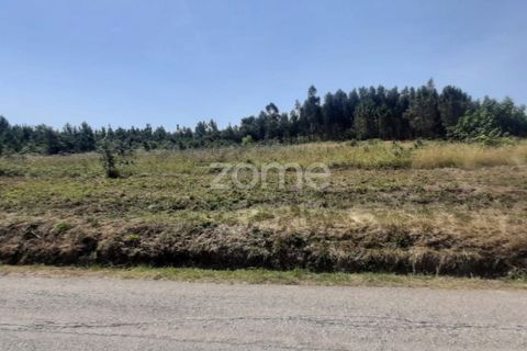 Helårsgrund i Soure, Coimbra, Soure - € 49.900 | Ref: ZMPT551254 - foto 16