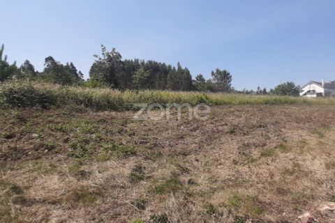 Helårsgrund i Soure, Coimbra, Soure - € 49.900 | Ref: ZMPT551254 - foto 17