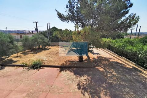 Villa i Noto, Siracusa, Noto - € 80.000 | Ref: NT VCAM 33 - foto 18