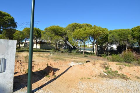 Helårsgrund i Almancil, Faro, Almancil - € 2.275.000 | Ref: 2051 - foto 3