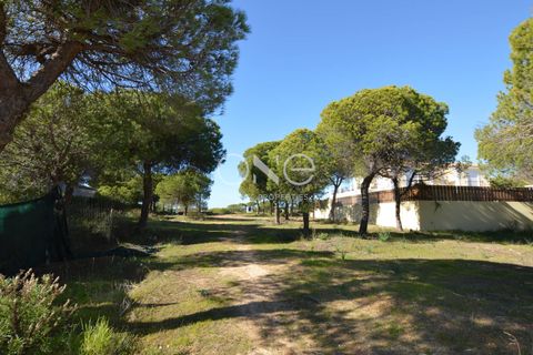 Helårsgrund i Almancil, Faro, Almancil - € 2.275.000 | Ref: 2051 - foto 9