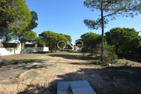 Helårsgrund i Almancil, Faro, Almancil - € 1.975.000 | Ref: 2052 - foto 2