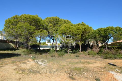 Helårsgrund i Almancil, Faro, Almancil - € 1.975.000 | Ref: 2052 - foto 3
