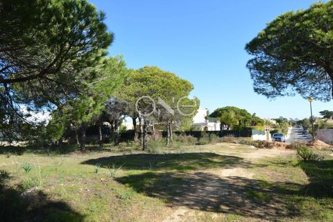 Helårsgrund i Almancil, Faro, Almancil - € 1.975.000 | Ref: 2052 - foto 8