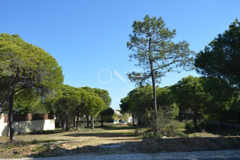Helårsgrund i Almancil, Faro, Almancil - € 1.975.000 | Ref: 2052 - foto 9