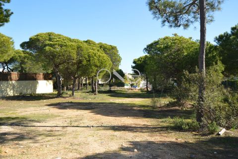 Helårsgrund i Almancil, Faro, Almancil - € 1.975.000 | Ref: 2052 - foto 12