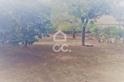 Helårsgrund i Vila do Conde, Porto, Vila do Conde - € 180.000 | Ref: 261/T/03099 - foto 5