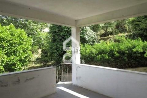 Farm hus i Roriz, Porto, Roriz - € 449.000 | Ref: 261/Q/03504 - foto 25