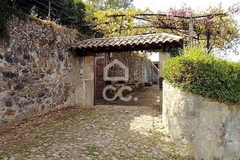 Farm hus i Roriz, Porto, Roriz - € 449.000 | Ref: 261/Q/03504 - foto 26