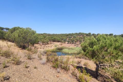Helårsgrund i Castro Marim, Faro, Castro Marim - € 3.500.000 | Ref: SÒL_1276 - foto 12