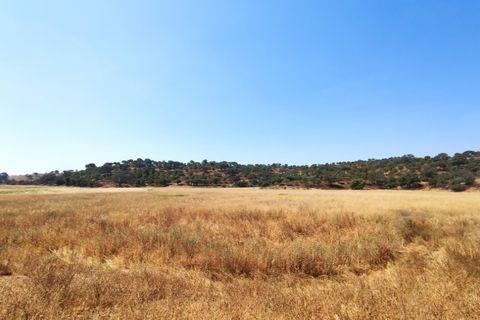 Helårsgrund i Castro Marim, Faro, Castro Marim - € 3.500.000 | Ref: SÒL_1276 - foto 28