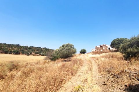 Helårsgrund i Castro Marim, Faro, Castro Marim - € 3.500.000 | Ref: SÒL_1276 - foto 29
