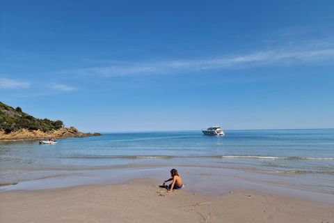 Herregård i Conca, Corse-du-Sud, Conca - € 1 340 000 | Ref: MURBS 2026 - foto 3
