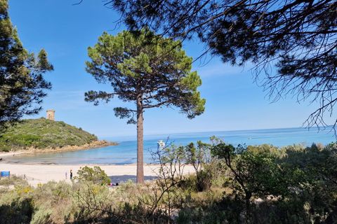 Herregård i Conca, Corse-du-Sud, Conca - € 1 340 000 | Ref: MURBS 2026 - foto 5