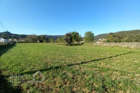 Helårsgrund i Barcelos, Braga, Barcelos - € 127.000 | Ref: 114/22 - foto 8