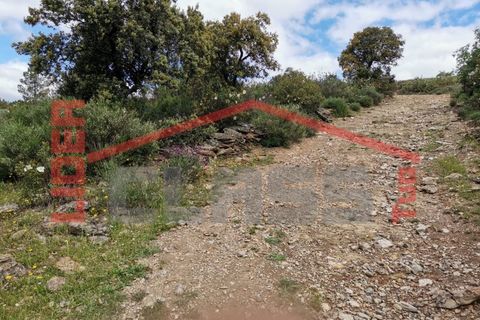 Terra a Mogadouro, Braganca, Mogadouro - € 15.000 | Ref: 90-P01-001099 - foto 5