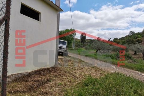 Terra a Mogadouro, Braganca, Mogadouro - € 15.000 | Ref: 90-P01-001099 - foto 7