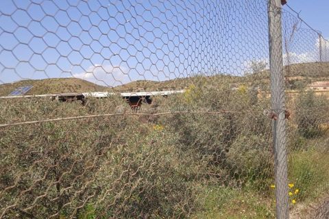 Villa a Tabernas, Almeria, Tabernas - € 145.000 | Ref: APS 1865 - foto 13
