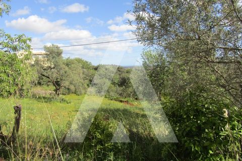 Helårsgrund i Tavira, Faro, Tavira - € 175.000 | Ref: 1110577/22AF - foto 6
