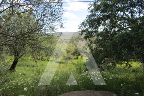 Helårsgrund i Tavira, Faro, Tavira - € 175.000 | Ref: 1110577/22AF - foto 7