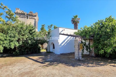 Farm hus i Nardo, Lecce, Nardo - € 1.970.000 | Ref: CA553 - foto 6