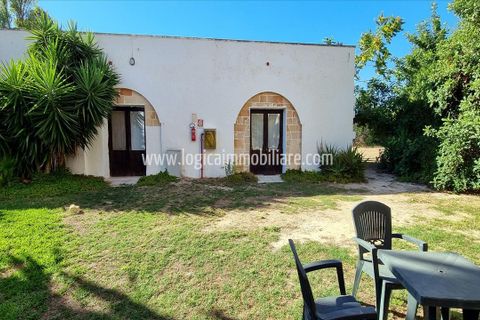 Farm hus i Nardo, Lecce, Nardo - € 1.970.000 | Ref: CA553 - foto 7